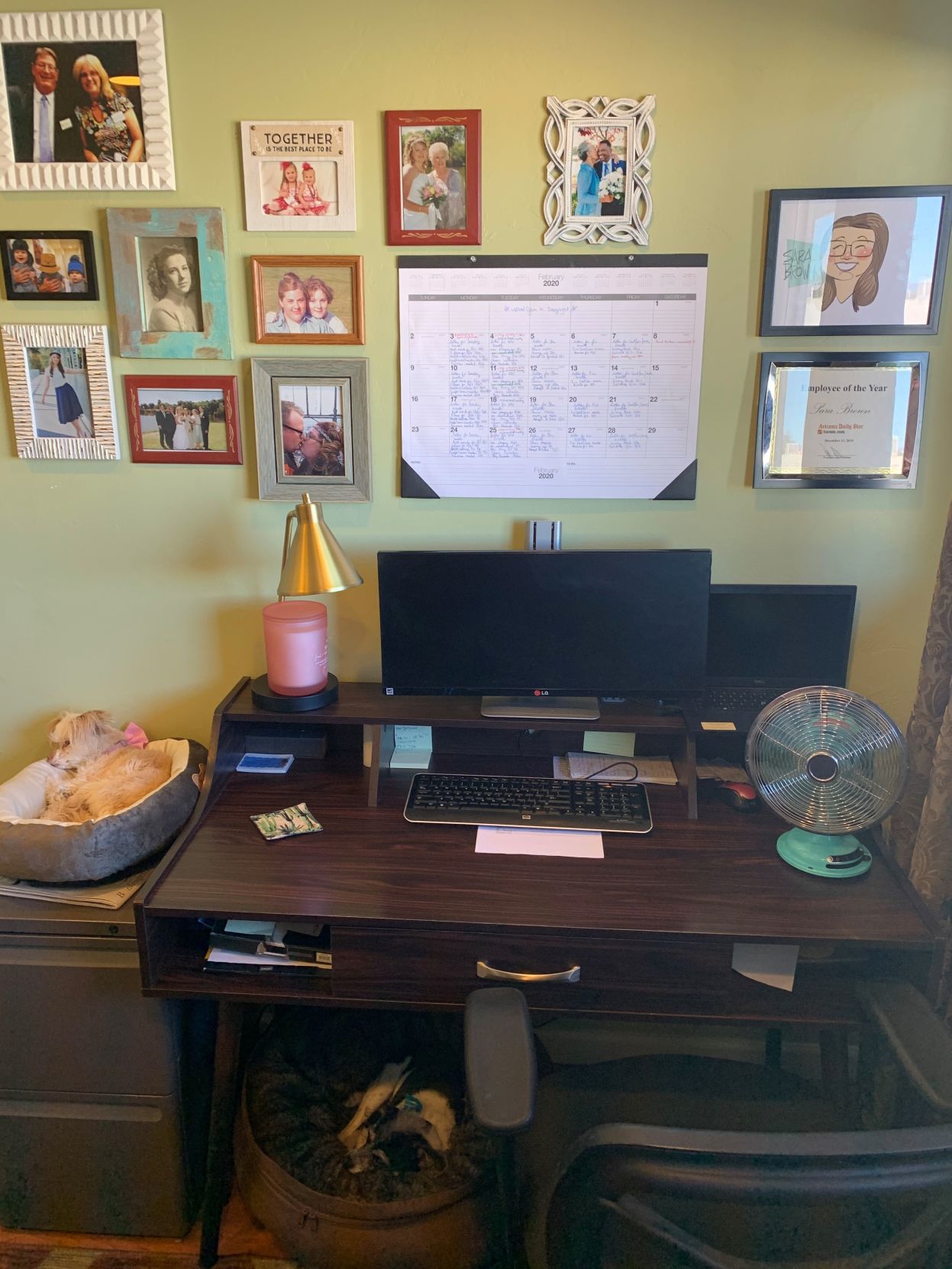 Work from home: Sara Brown